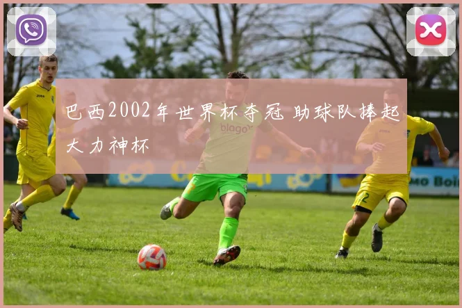 巴西2002年世界杯夺冠 助球队捧起大力神杯