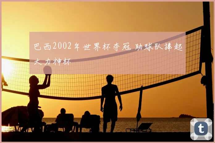 巴西2002年世界杯夺冠 助球队捧起大力神杯